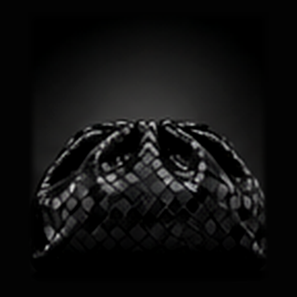 Bottega Veneta The Pouch