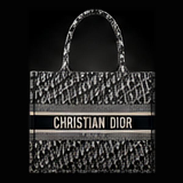 Dior Book Tote